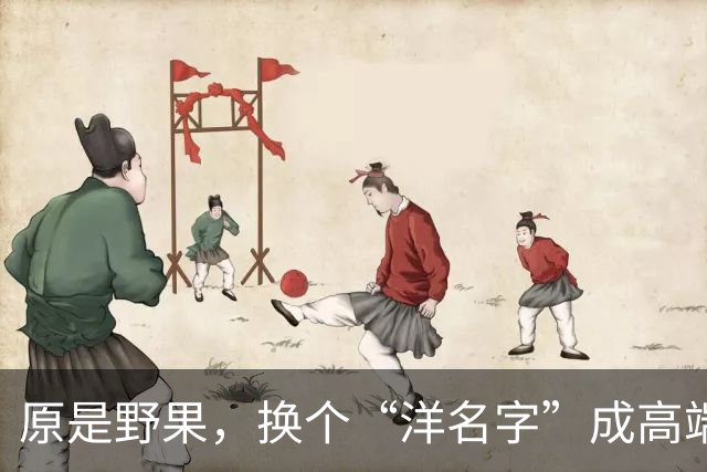 原是野果，换个“洋名字”成高端水果，涨至30元1斤，吃不起了